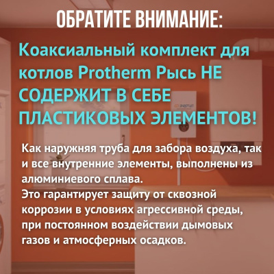 Дымоход для котла Протерм (Protherm) Рысь любой мощности, комплект антилед (Китай) (DYMrys)